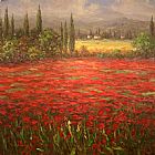 Poppy Field Splendor by Unknown Artist